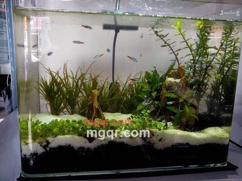 方茂林的第3张照片