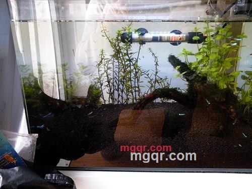 方茂林的第1张照片