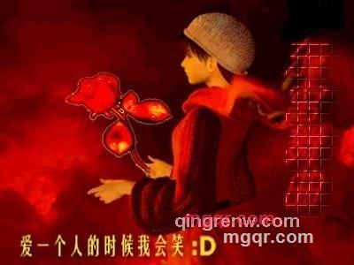 贺晓强的第1张照片