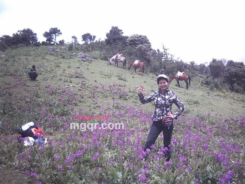 qidaiqingyuan的第1张照片