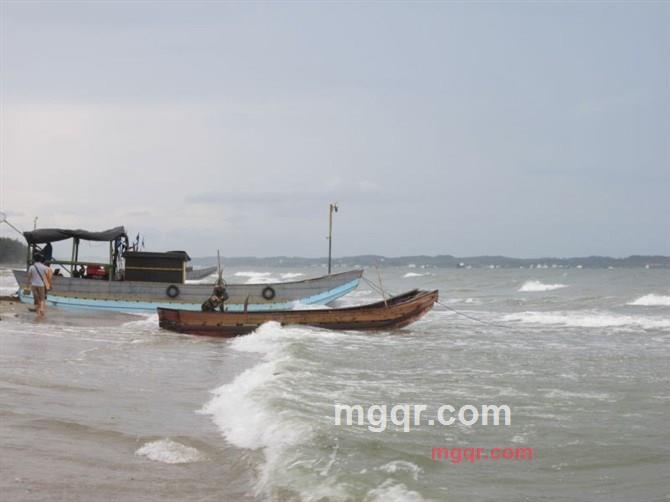 夜色下的快乐的第1张照片