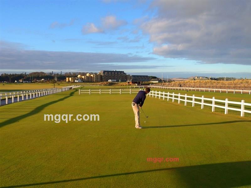 somecool的第6张照片