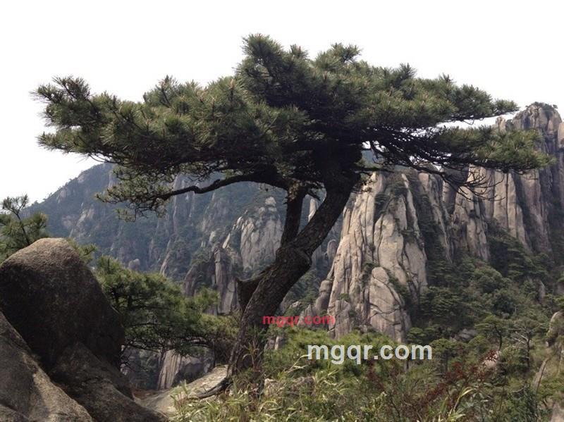 为你而约的第4张照片