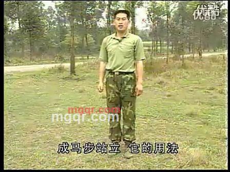 六嘢武左的第3张照片