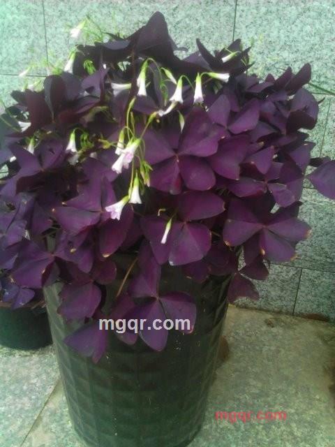 前途无聊的第7张照片