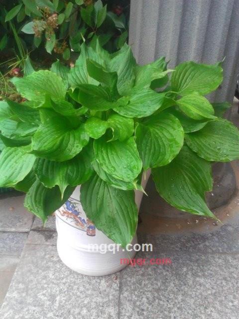 前途无聊的第6张照片