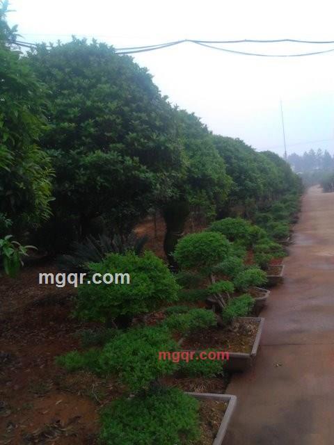 前途无聊的第5张照片