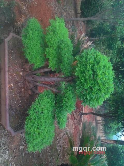 前途无聊的第3张照片