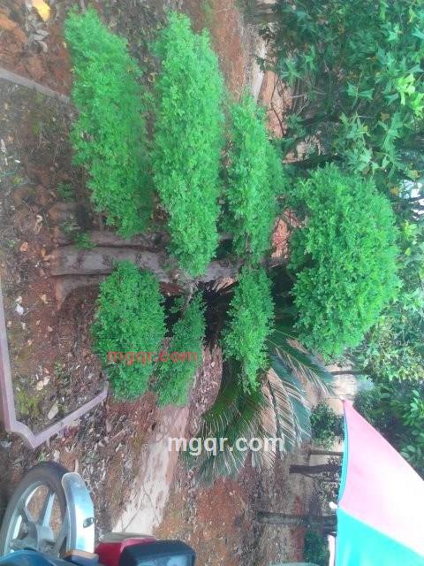 前途无聊的第4张照片