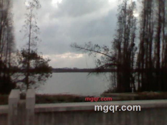 明明与白白的第2张照片