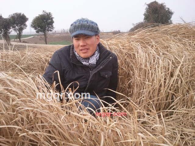 知冷知热男人的第2张照片