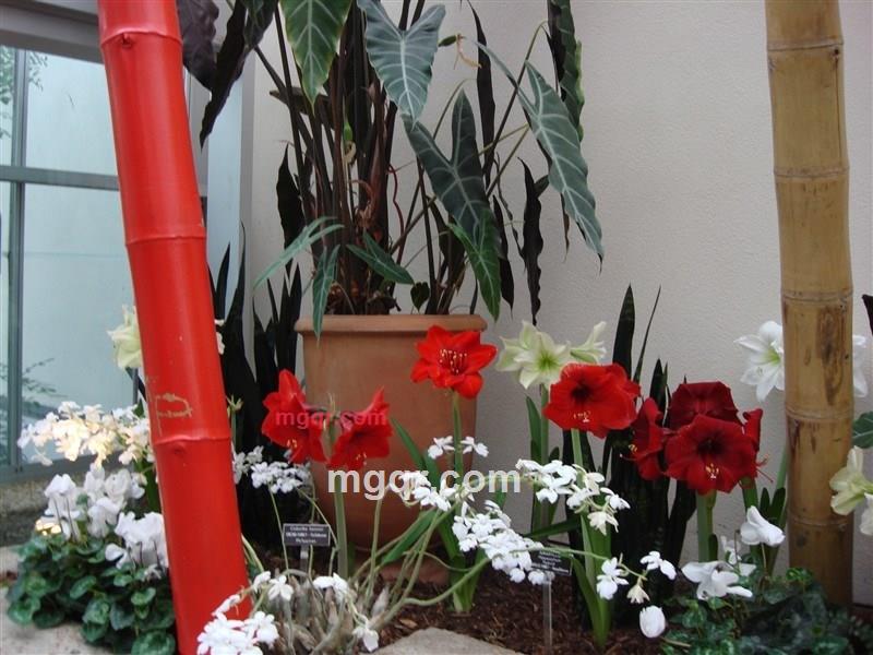 风光一点的第2张照片