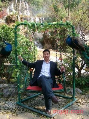 老虎出动的第1张照片