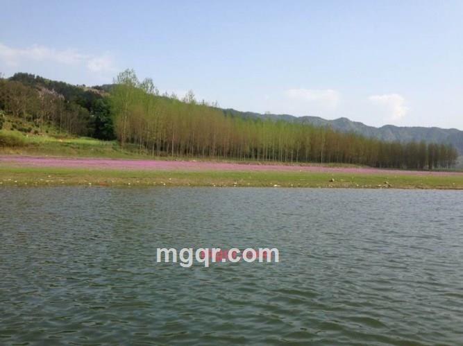 魅力吾现的第8张照片