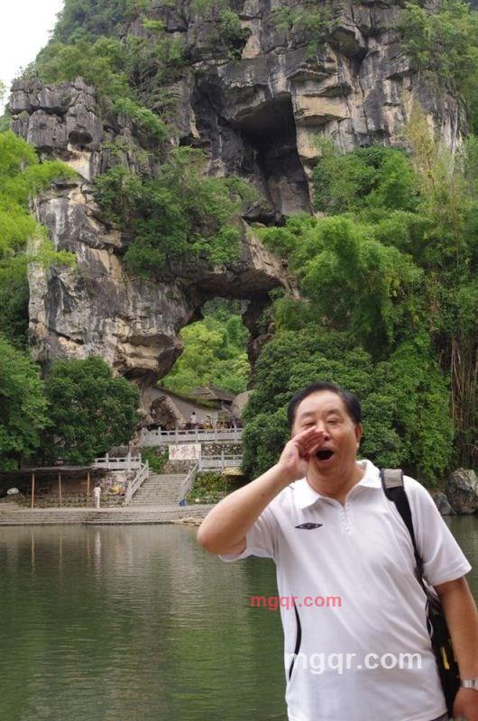 老树发新芽的第1张照片