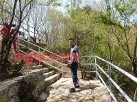 挂尸的第1张照片