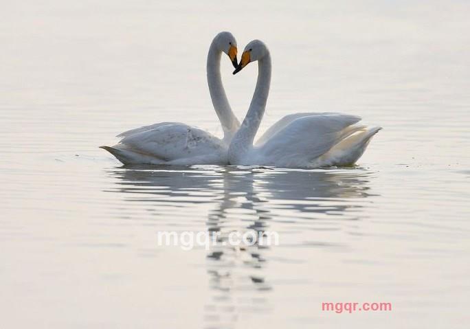 黄金宝刀的第6张照片