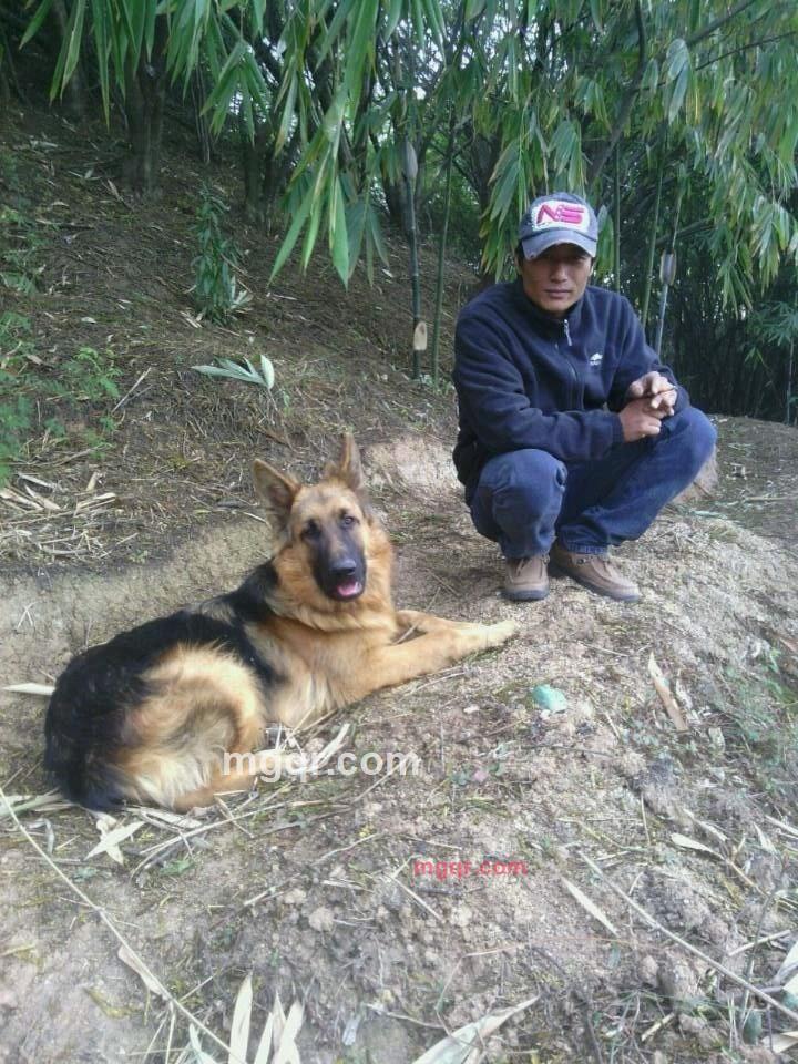 joe827的第1张照片