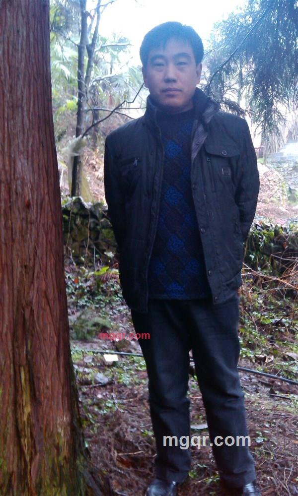 心灵绿叶的第1张照片