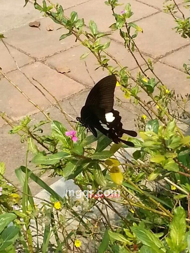 红绿灯***的第5张照片