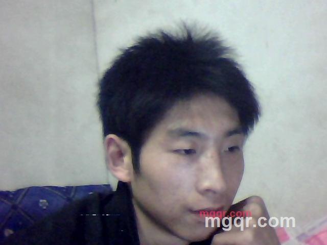 樱花树叶的第1张照片