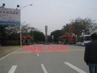 白鹤飞翔的第2张照片