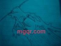 会员1835687的第1张照片