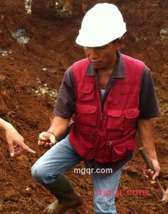 山茶花开那天的第1张照片