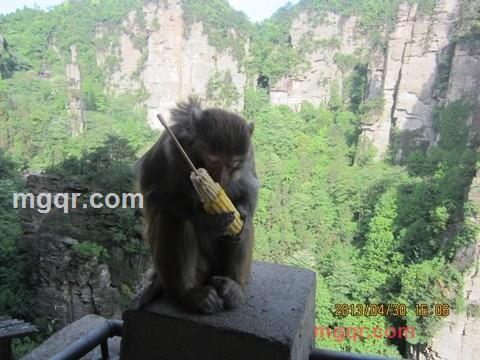 找个红颜把聊的第1张照片