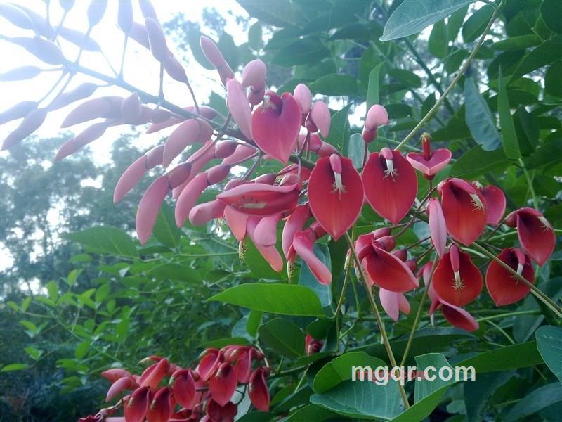 痴情小王子的第1张照片