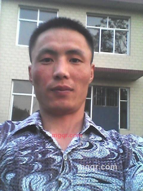 一匹孤狼的第2张照片