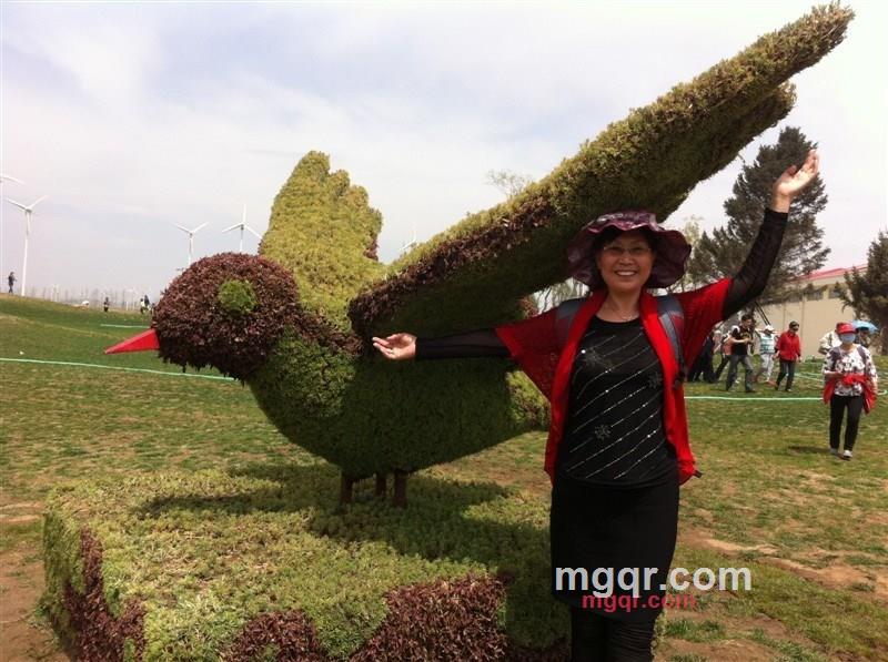 琴缘缘的第9张照片