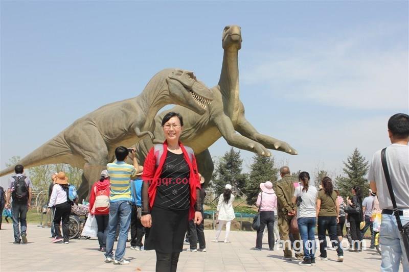 琴缘缘的第8张照片