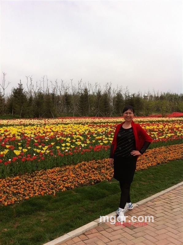 琴缘缘的第4张照片