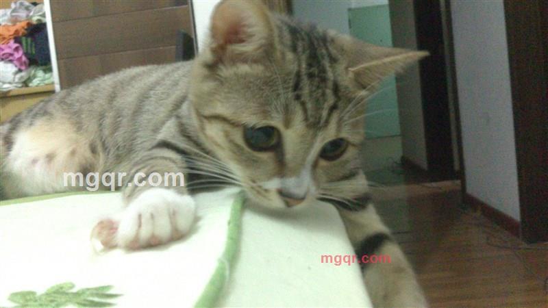 地铁3号线的第2张照片