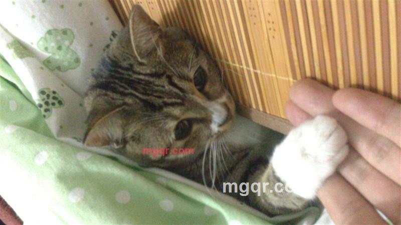 地铁3号线的第1张照片