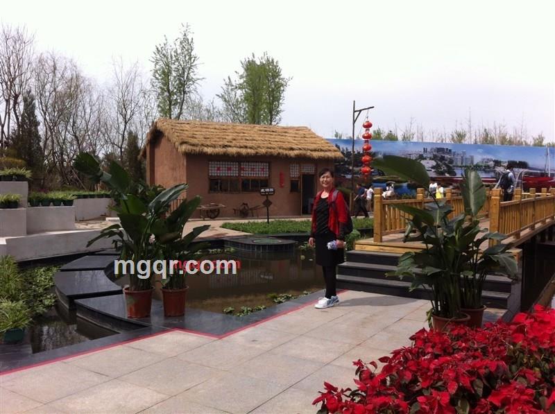 琴缘缘的第1张照片