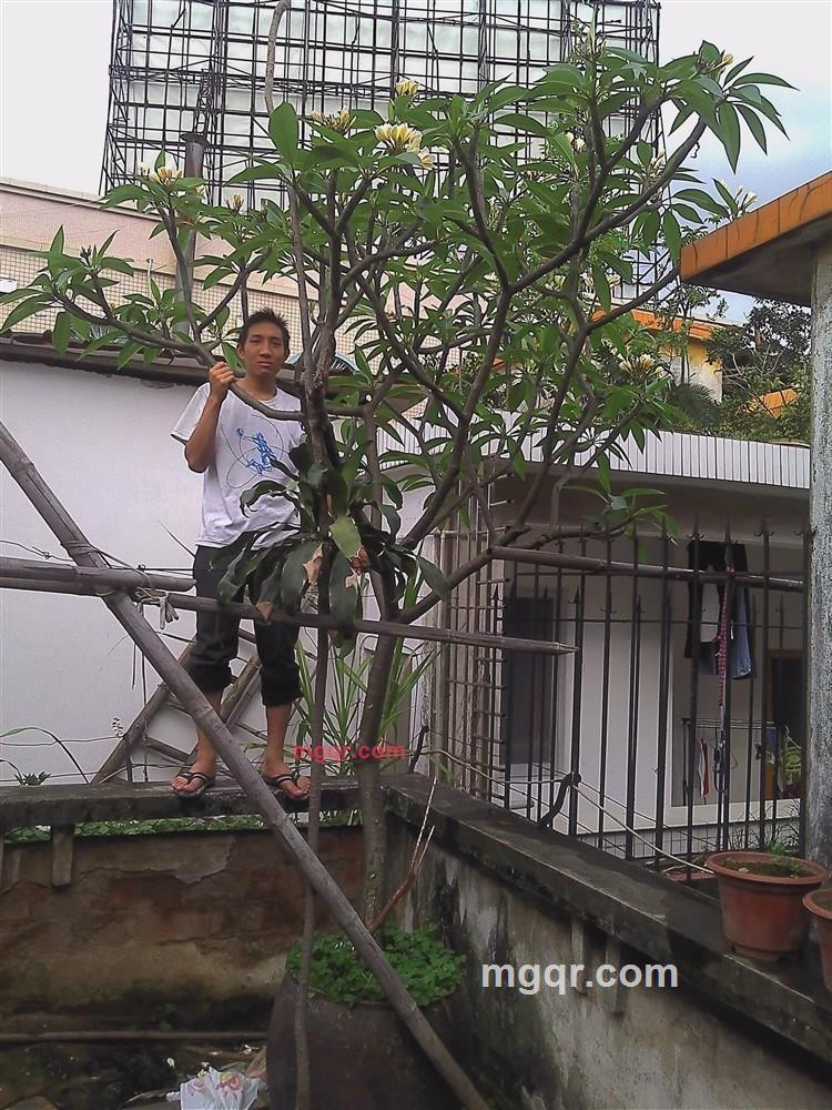 夏天xl的第1张照片