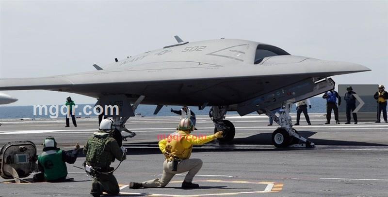 饥渴的虎的第1张照片