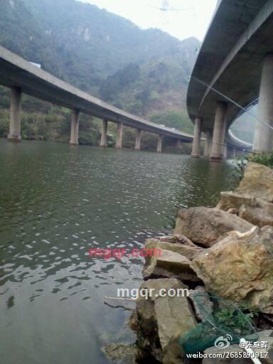 木头鱼不笨的第1张照片