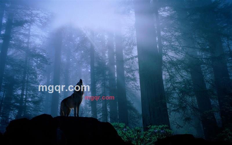 简单爱我的第1张照片