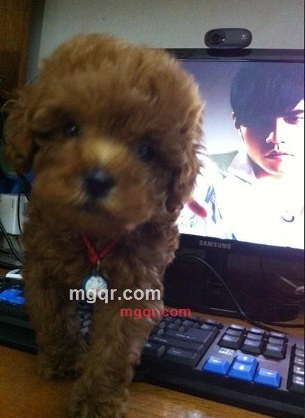 明明就。的第9张照片