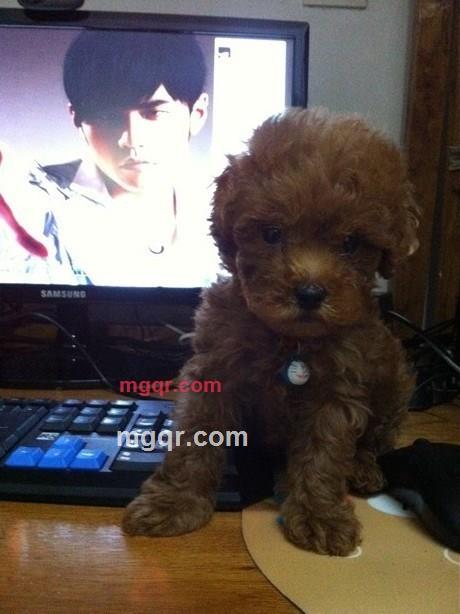 明明就。的第3张照片