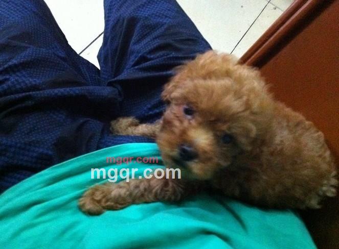 明明就。的第2张照片