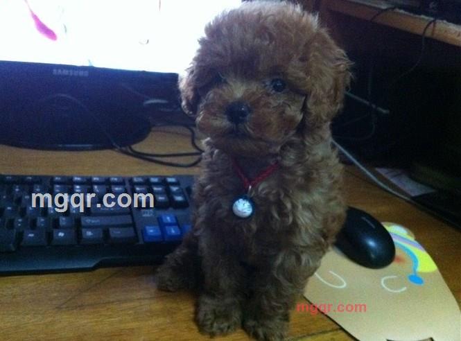 明明就。的第5张照片