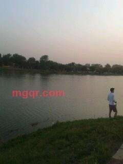 小肉球的第3张照片