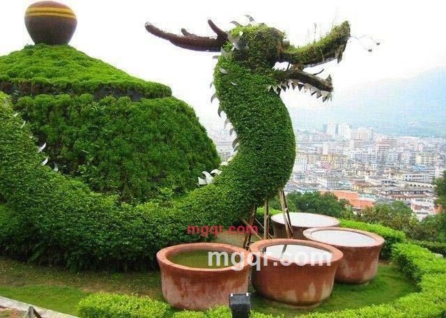 快乐蜗牛的第1张照片