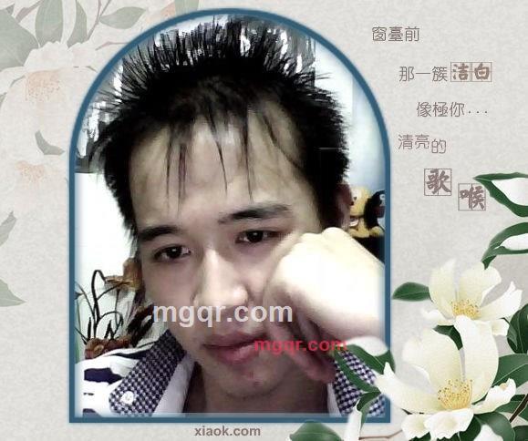 子弹-小宝的第6张照片