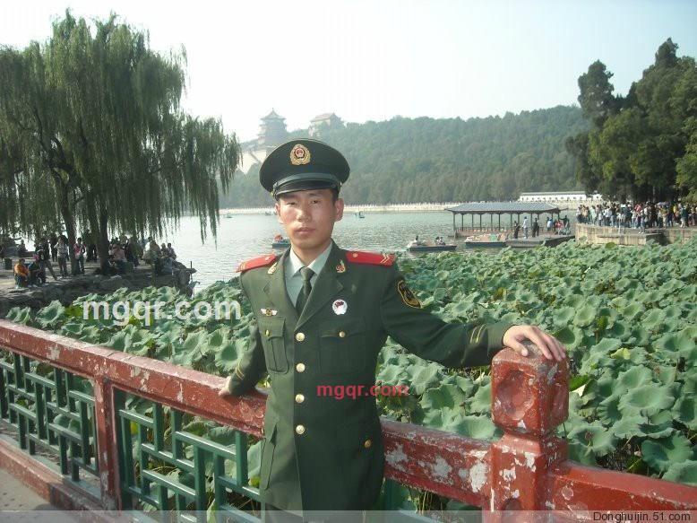 纯洁的驴子的第3张照片