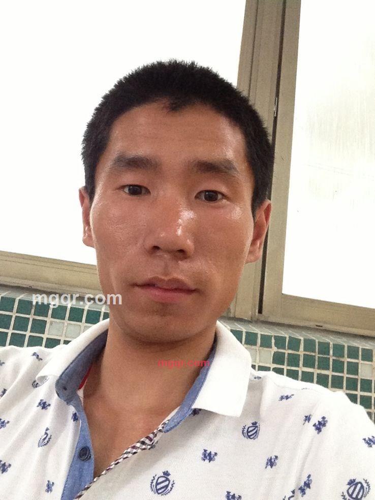 纯洁的驴子的第2张照片